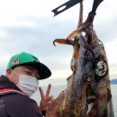 미래낚시 이미지