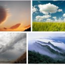 잠이솔솔 이미지