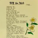 차꽃향기 이미지