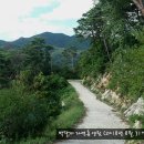 박달재자연휴양림 이미지