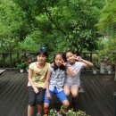 황등초등학교 이미지