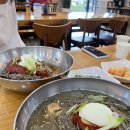 광릉수목원 근처 맛집/ 포천 맛집 수한막국수 내돈내산 솔직 후기 - 메밀 찐맛 만두 개존맛탱