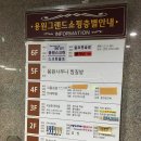 더 스크린 SG 골프 네이버블로그