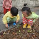 가을 식물을 만나러 가요🍁🍂 이미지