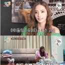 [공지] 8월 11일(토) 입양캠페인은 배우 한채영씨와 함께 서초문화예술공원에서 진행합니다. 이미지