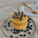 삶에 자연을 채우다 이미지