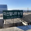 선진농장 방문[이천 미산딸 농원] 이미지