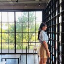 여성 루시루루 블룸 체크 플라워 포인트 헤어집게핀 3종 추천 및 후기 (옐로우체크 / 레드체크 / 블루체크)
