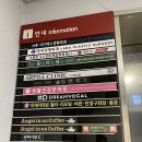 지디에스성형외과의원 이미지