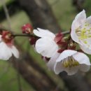 과천청사역 6번 출구 이미지