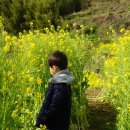 현주네민박 이미지