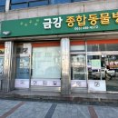 군산중앙초등학교 | [W] 피로연 2부 드레스가 고민이라면_가봉맛집 ‘수자드레스’