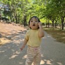 [아기여름옷추천] 멜멜 골지반팔티 S, 옐로우팩토리 믹스킷바지 5호 후기