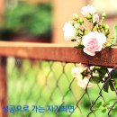 하늘바람
