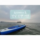 뻘뚱 | [전남 여행] 신안 천사대교, 퍼플섬, 엘도라도 리조트 패들보드 체험