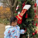 예나어린이집 | 여아 스키복 세트 썰매복 상하복 여아부츠 32개월 후기 오즈키즈