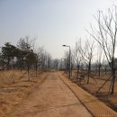 포곡 도시숲 이미지