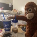 춘천일기스테이 이미지