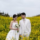 제주246 | [제주스냅] 무드보드제주 촬영 후기(유채꽃밭)