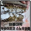 와플대학일산후곡캠퍼스 | 와플대학 두바이초코 스노우와플 블랙와플로 변경 후기 및 칼로리