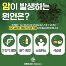 소망내과 네이버블로그