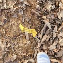 샤브작샤브작 이미지