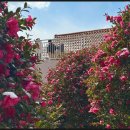 남원읍-53 이미지