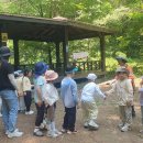 봉의초병설유치원 이미지