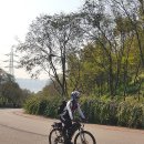 산성커피