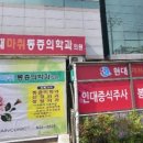 자모치과의원 티스토리