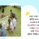 🌷&#39;사람을 살리는 허브&#39; 프로젝트를 마치며🌿🌱✨🌷 이미지