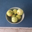 계사전 하편 이미지