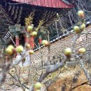 동성한우촌 이미지