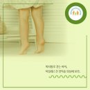 정문태권도 이미지