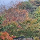 선피크모텔 | 울산 울주군 상북면 선피크모텔에 다녀오다