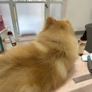 멍키매직 이미지