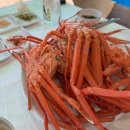 카페상희 | 강원도 강릉 주문진 찐 맛집 추천 상희네 횟집 홍게 무한 리필