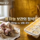 푸른유통창녕 | 마늘 수확 시기 언제일까? 다진 마늘 보관법 및 효능 분석