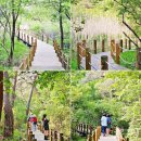 충의공 엄흥도 역사탐방로 | 강원도 영월 가볼만한곳 장릉 물무리골 ~ 라디오스타 박물관 당일치기 영월여행 코스