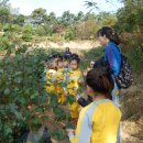 증안초교 병설유치원 이미지