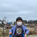 합기도 양우관 천동도장 이미지