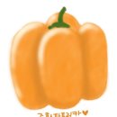 주황 이미지