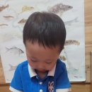 닥꽃 이미지