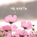 Maria Daines - You Don't Love Me 이미지