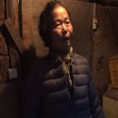 부부두부 이미지