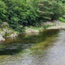 생곡삼거리식당 이미지