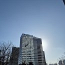 을지약국 | 중국 대련 마운자로 구매 후기 (26년3월)