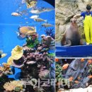 고양사람들
