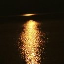 궁평농장 이미지