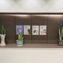 성재한의원 이미지